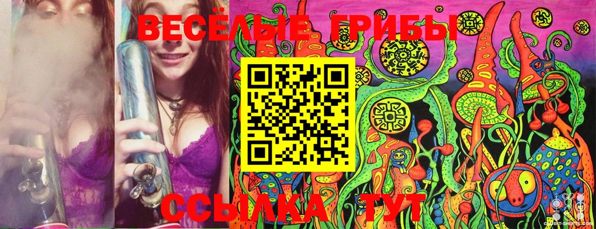 Нефтекумск  Псилоцибиновые грибы Magic Shrooms  Вход с VPN  купить  цена  Псилоцибиновые грибы GOLDEN TEACHER 