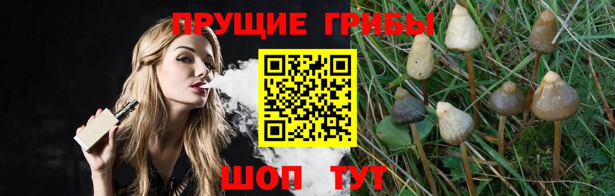 Галлюциногенные грибы Cubensis Нефтекумск